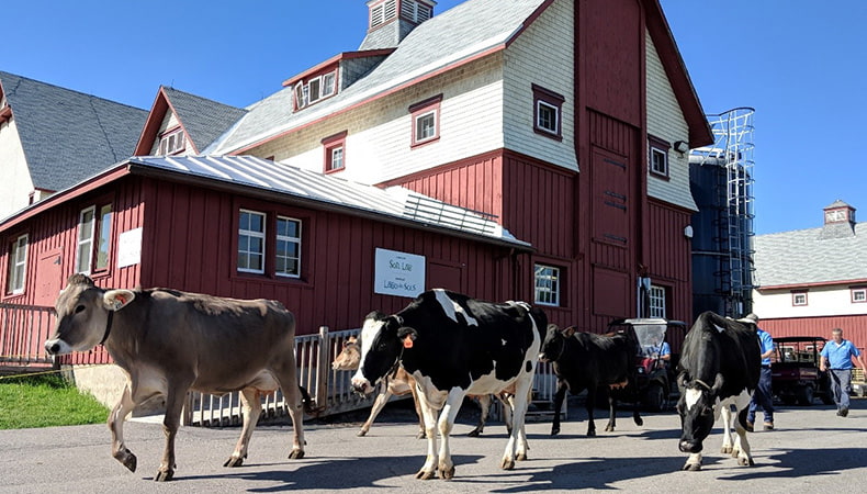 Musée de l’agriculture et de l’alimentation du Canada