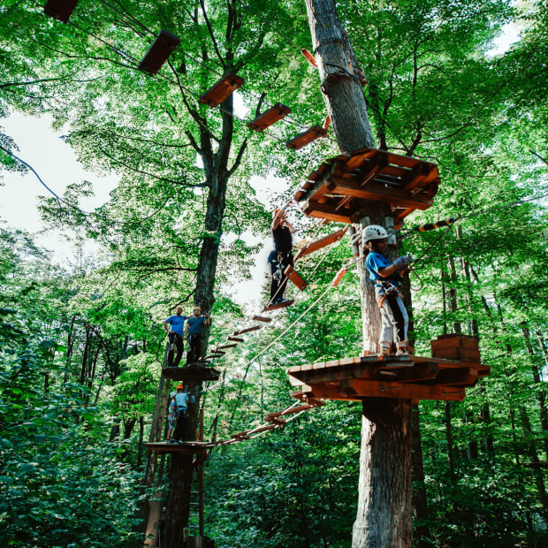 Arbre en arbre – Camp Fortune