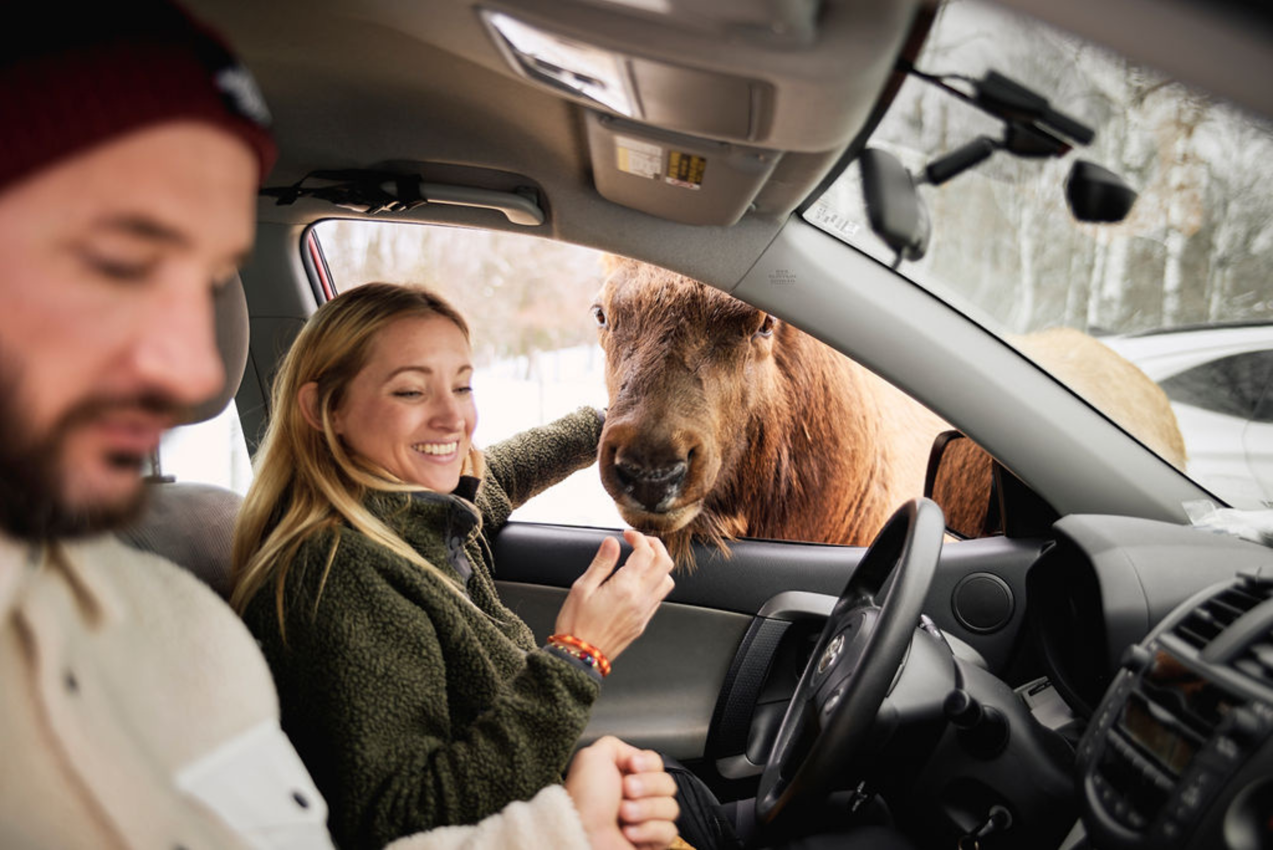 Parc Omega